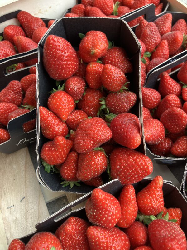 Fraise 🇫🇷 les 0,500 grs