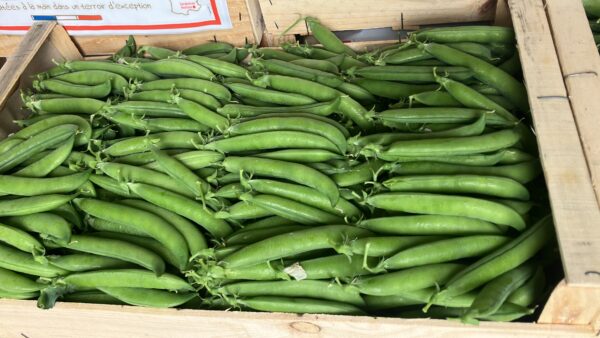 Petit pois,les 500grs