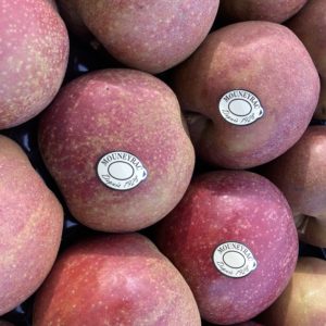 Pomme Boskoop 🇫🇷