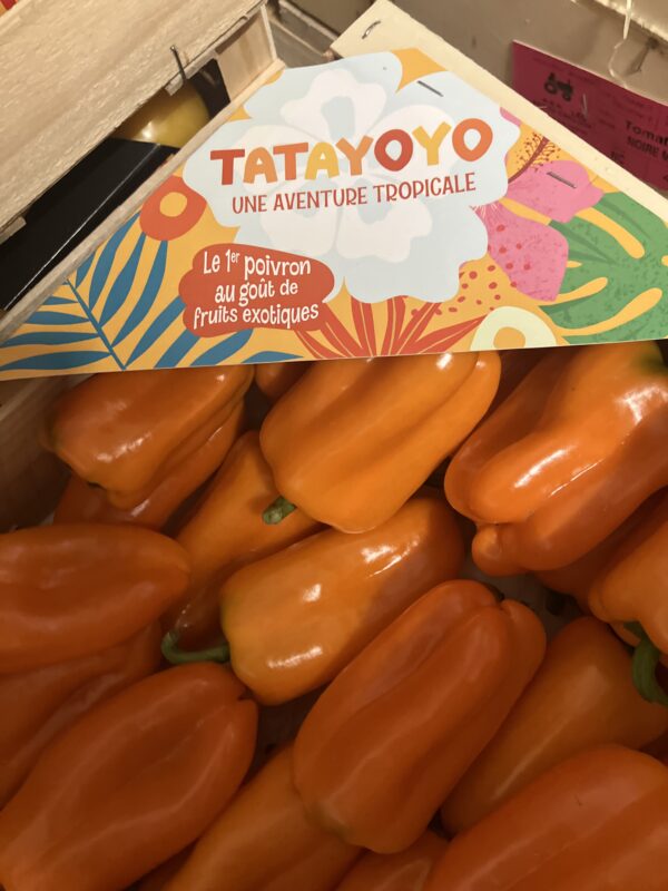 Poivron tata-yoyo 🇫🇷