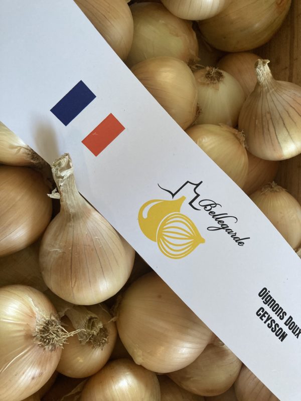Oignon Doux Cévennes  ,le kilo