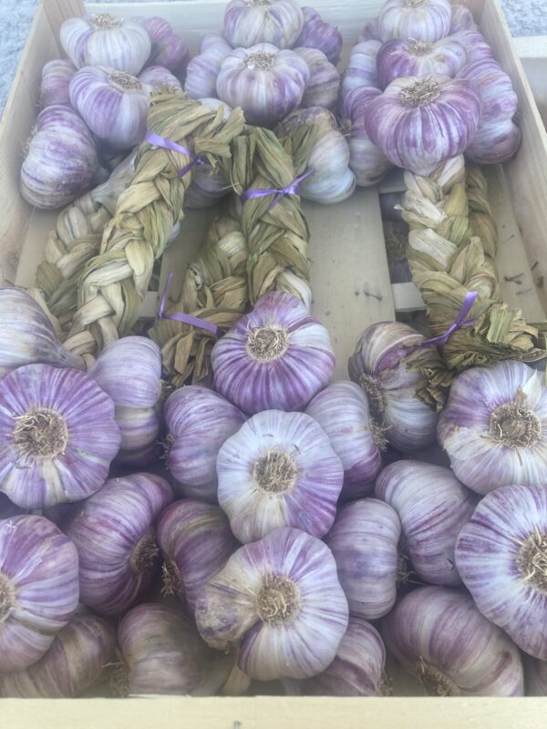 Tresse d’ail violet de Provence , 1 kilo
