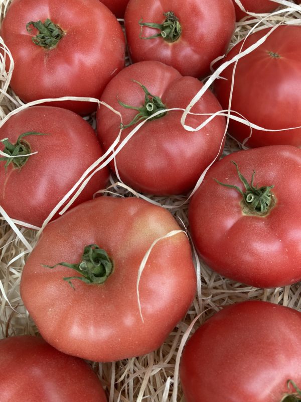 Tomate Rosa 🇫🇷, le kilo