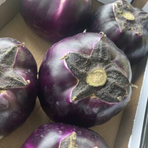 Aubergine 🇮🇹