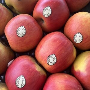 Pomme Reinette 🇫🇷