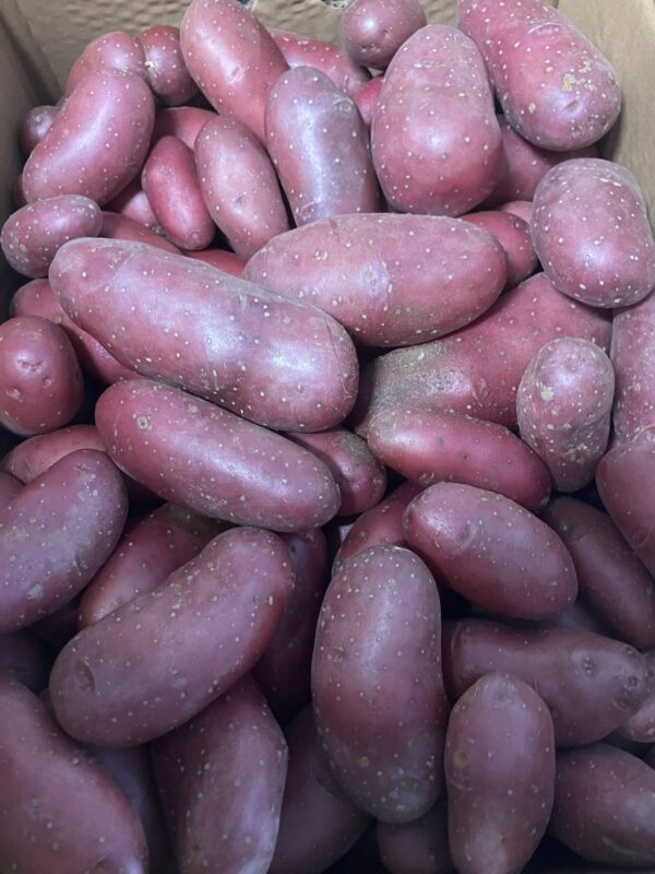 Pommes de terre ,le kilo